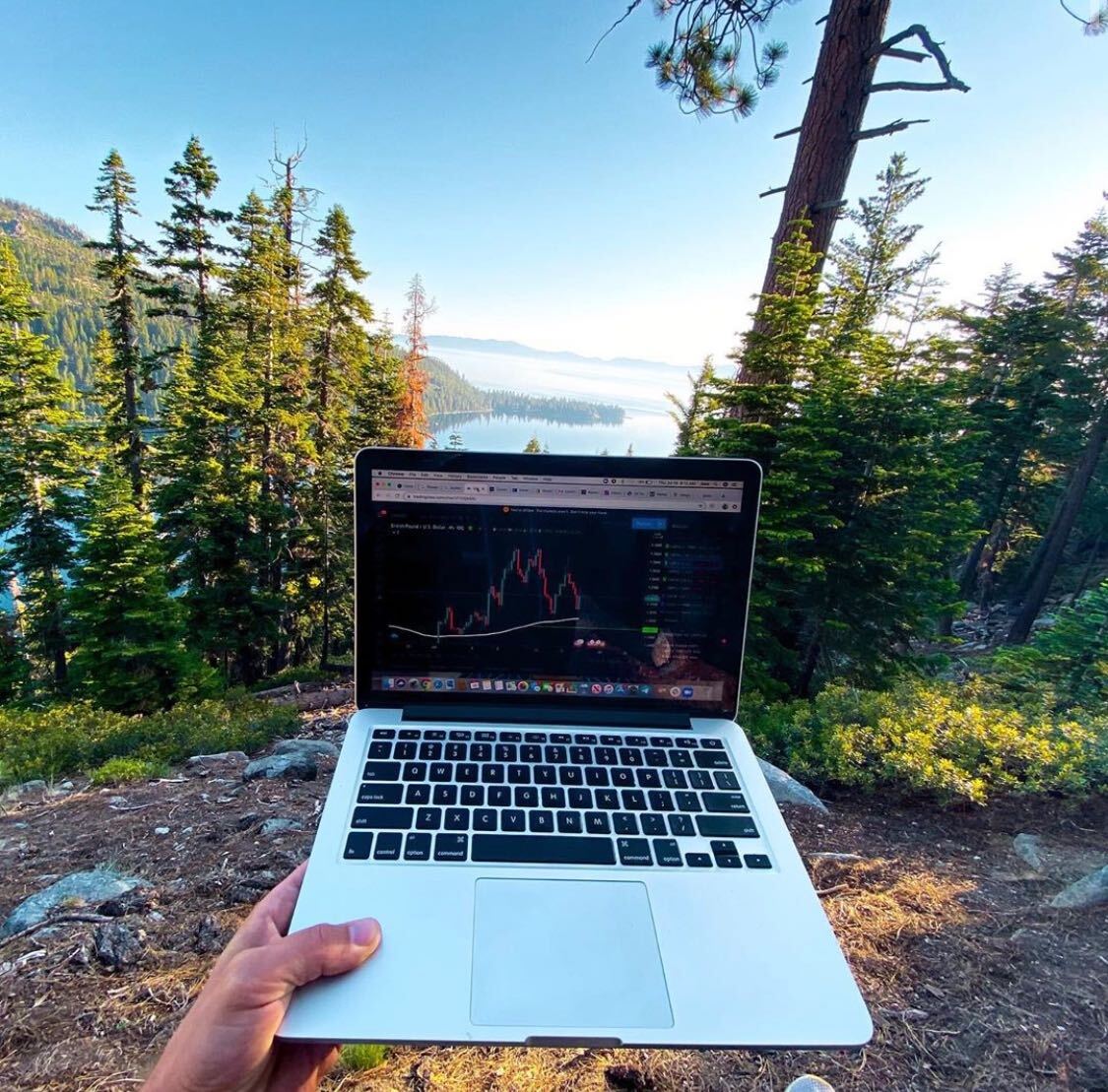 График TradingView в Instagram @TradingView