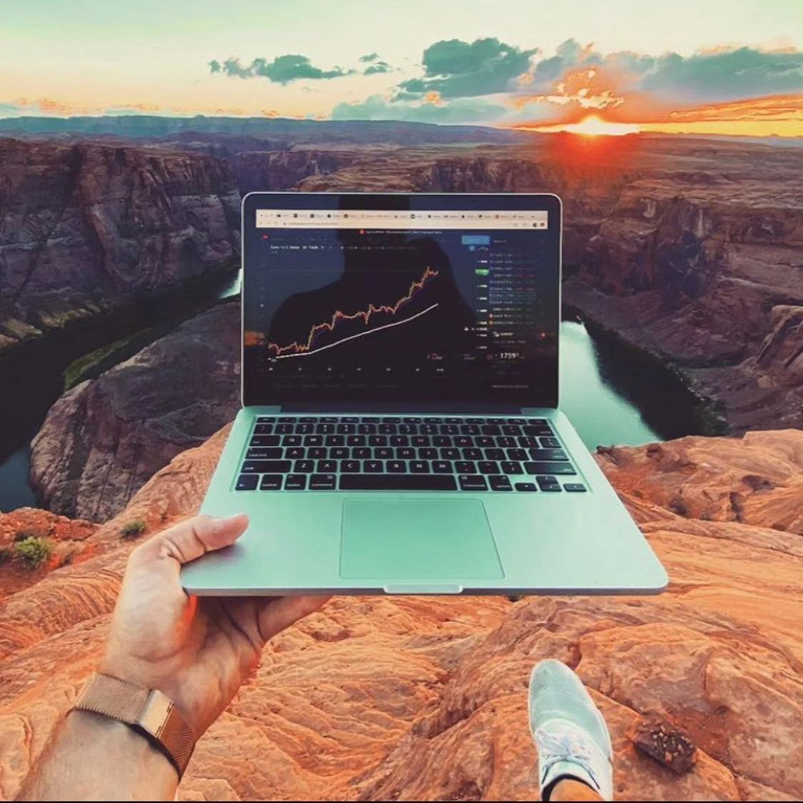 Фото от mrfrankly__