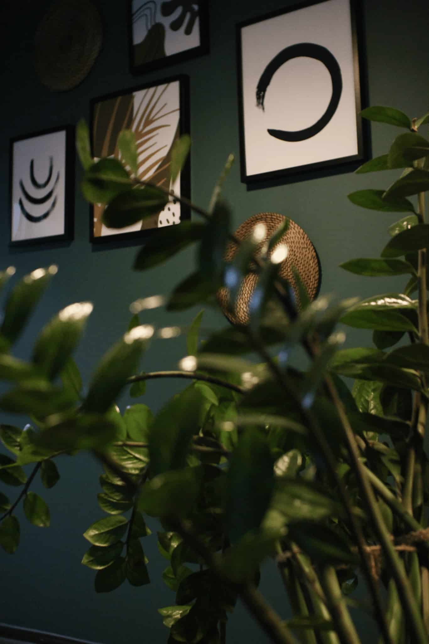 Фото офиса TradingView